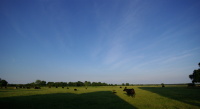 Landschaft Rade, Naturpark Aukrug